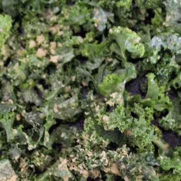 kale topped with nutritional yeast