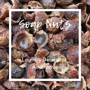 Soap Nuts Laundry Detergent Alternative