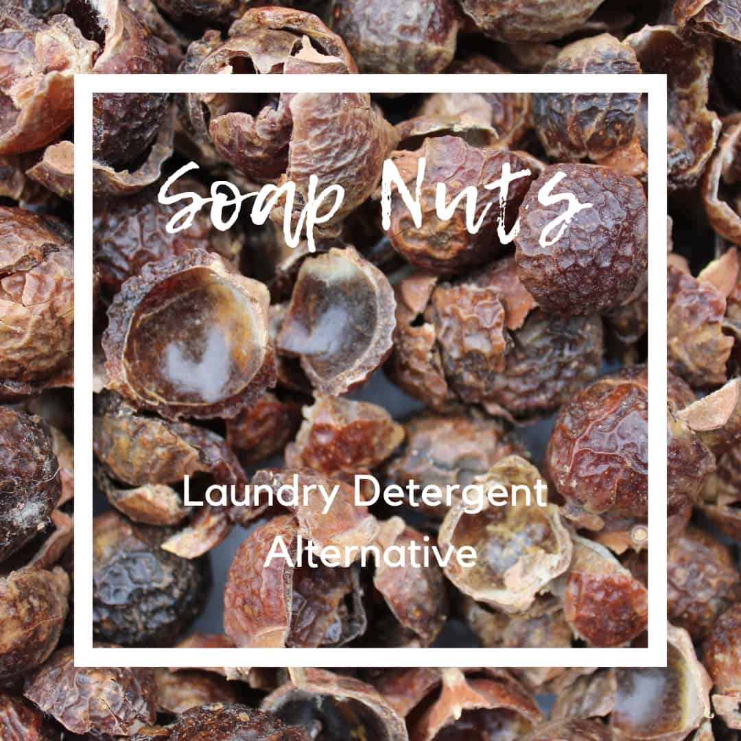 Soap Nuts - Laundry Detergent Alternative (Review) - My Allergy Kitchen